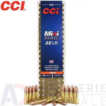 22lr Mini-Mag Target