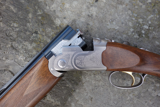 Silver Pigeon 1 Game