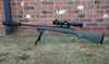Predator 22-250 and Alpex Package