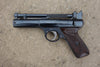 Webley Senior