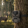 T16 4G Trail Camera 2 Pack