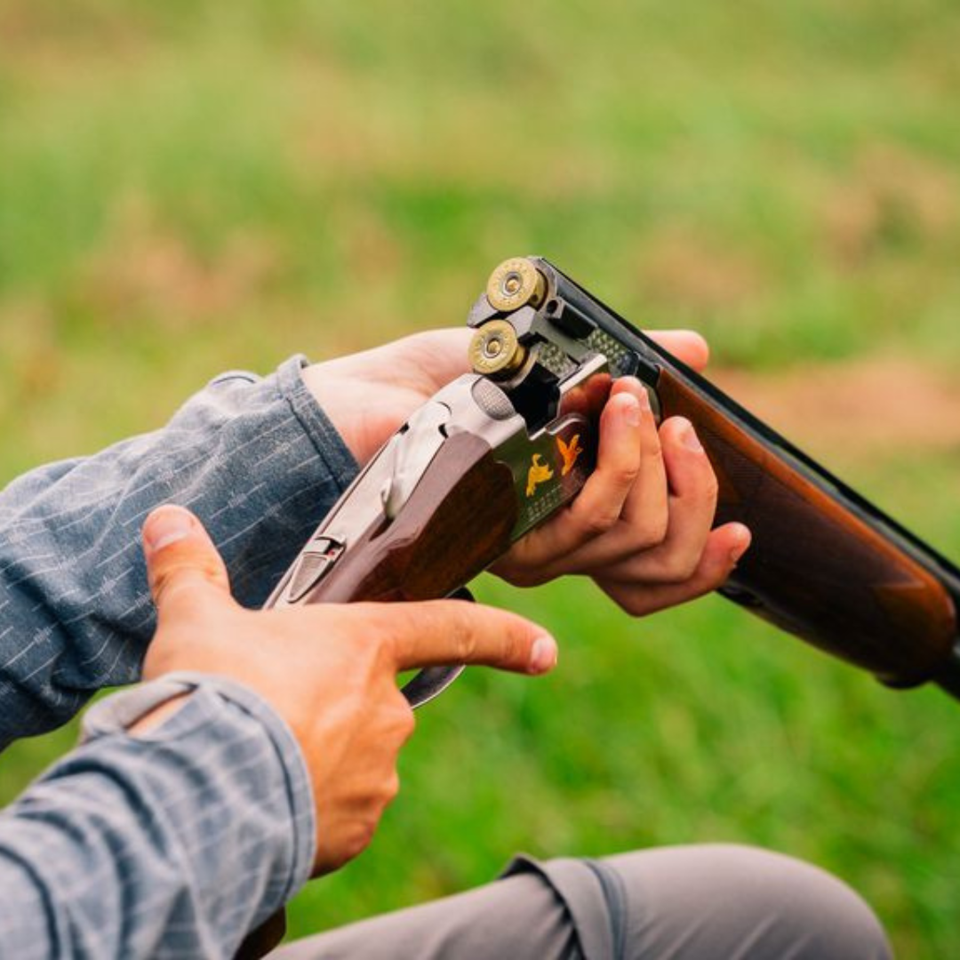 Guns