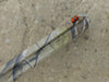 Super Nova Camo Pump Action