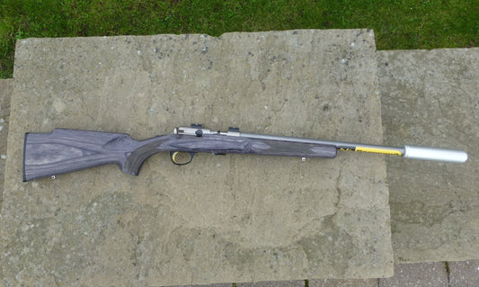Browning 22lr T-Bolt Laminate Stainless