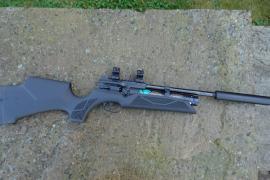 Weihrauch HW110K  Synthetic Image 2