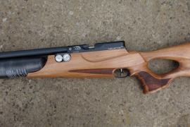 Daystate Wolverine R