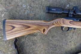 Ruger 10-22 Target Image 2