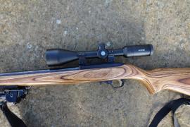 Ruger 10-22 Target Image 4