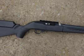 Ruger 10-22 Takedown