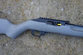 Ruger 10-22 Custom Competition