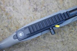 Ruger 10-22 Custom Competition Image 2