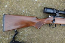 CZ Brno CZ 455 Varmint Image 2