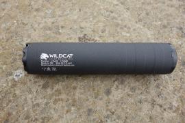 Wildcat Panther Image 2