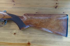 Winchester 5500 Image 3