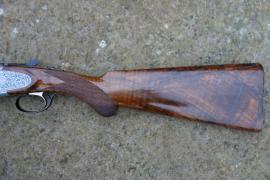 B Rizzini Artemis Image 2