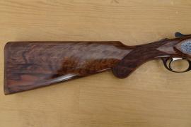 Rizzini Artemis Image 2