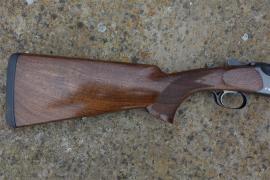 Blaser F16 Game Image 2