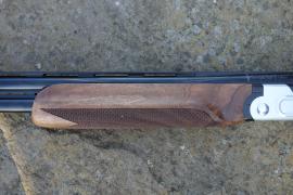 ATA Pro 12 Competition Image 3